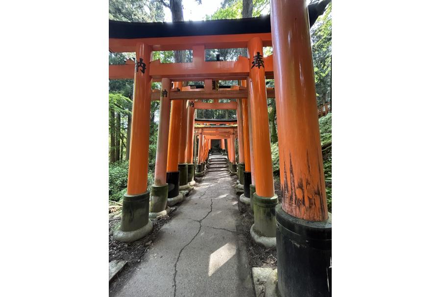 Fushimi Inari